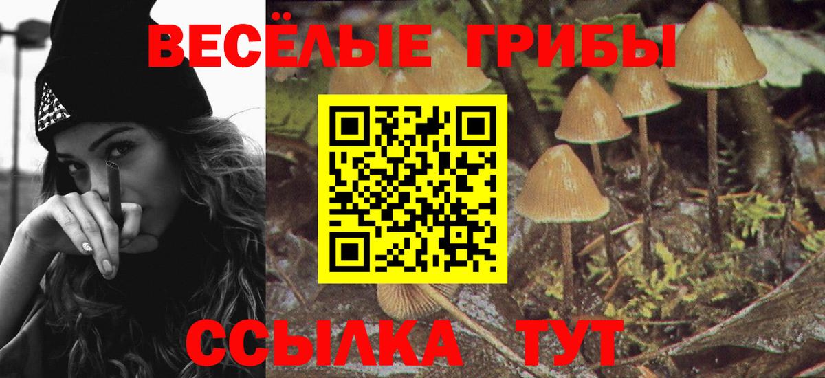 Псилоцибиновые грибы MAGIC MUSHROOMS Обь