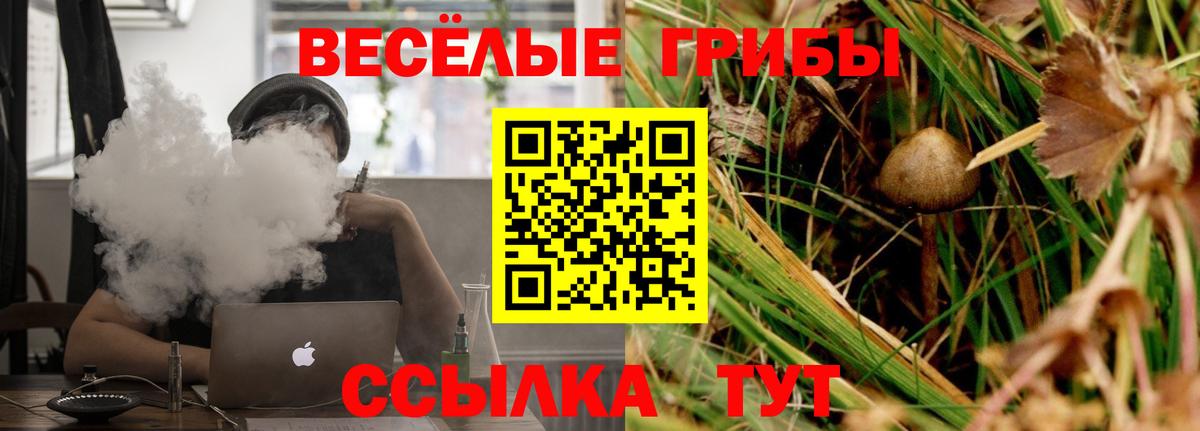 Обь  Псилоцибиновые грибы Psilocybine cubensis  Вход с VPN 